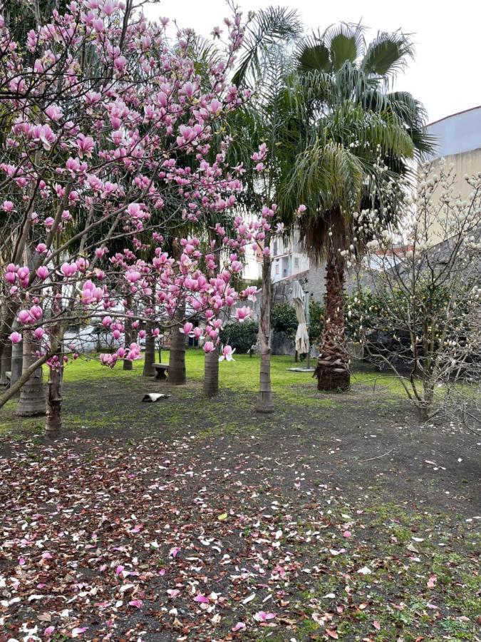 Giardino Del Vesuvio, Pompei Villa Terzigno Bagian luar foto