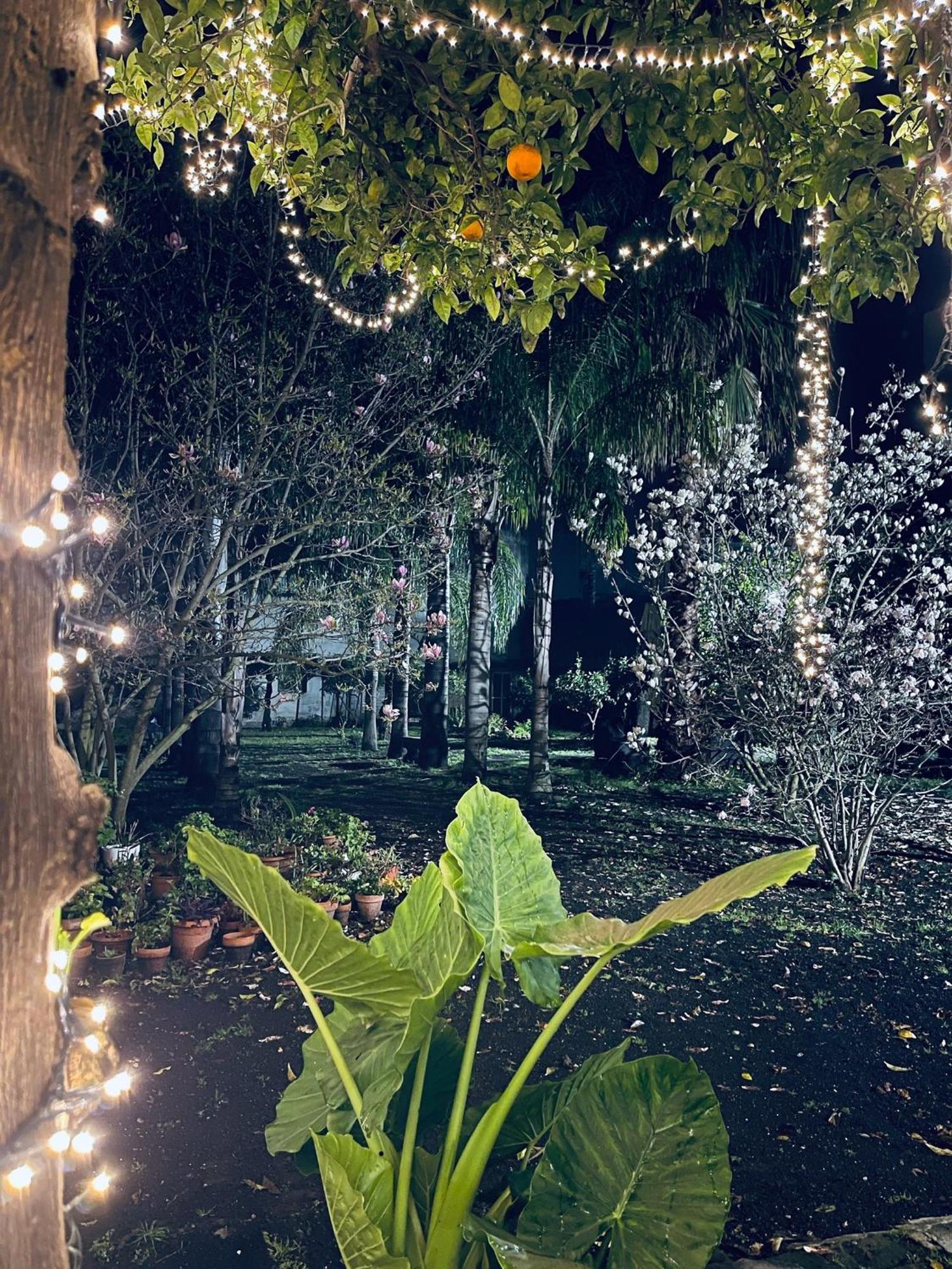 Giardino Del Vesuvio, Pompei Villa Terzigno Bagian luar foto